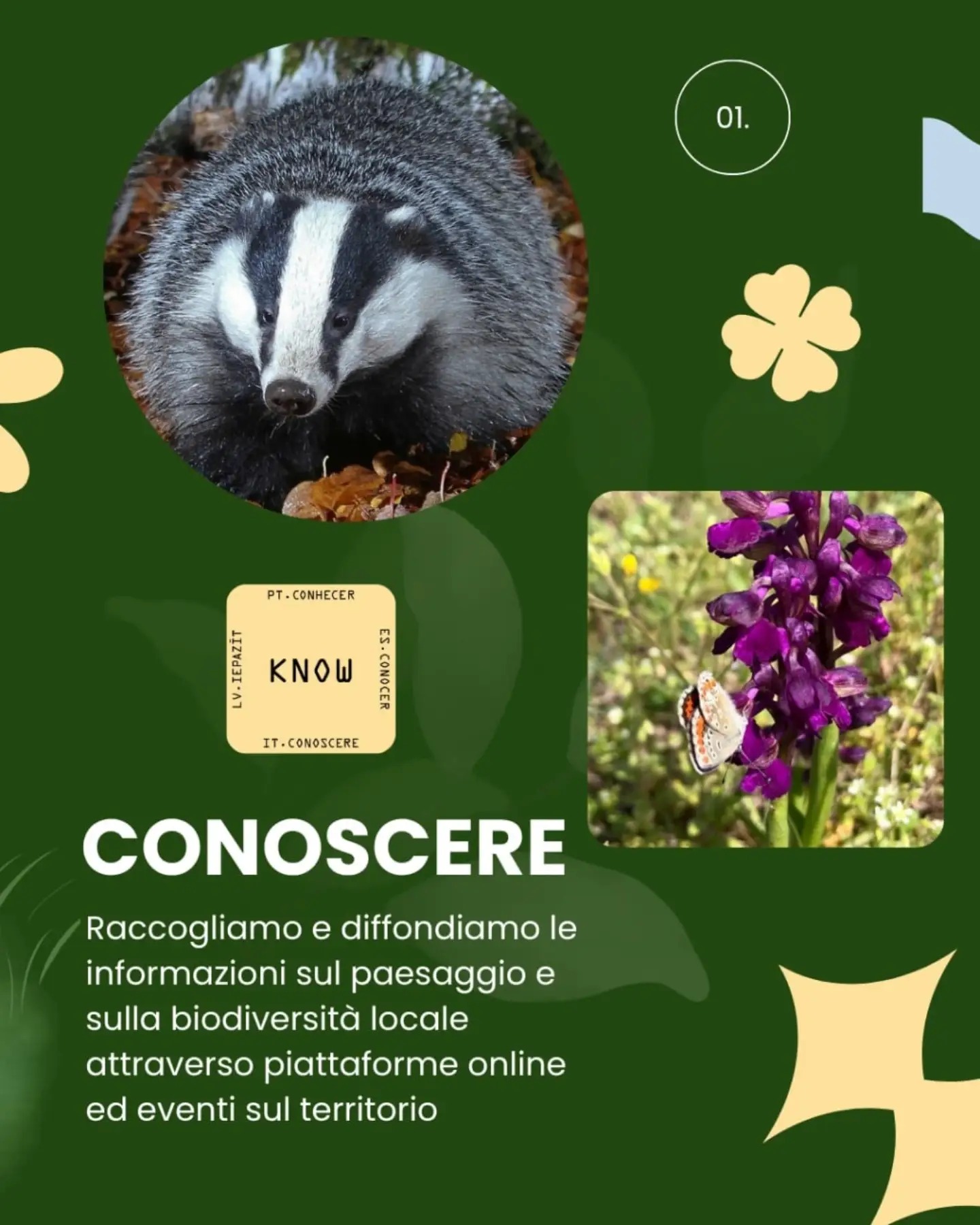 01. Conoscere: raccogliamo e diffondiamo le informazioni sul paesaggio e sulla biodiversità locale attraverso piattaforme online ed eventi sul territorio. Foto di un tasso e di un'orchidea selvatica con una farfalla