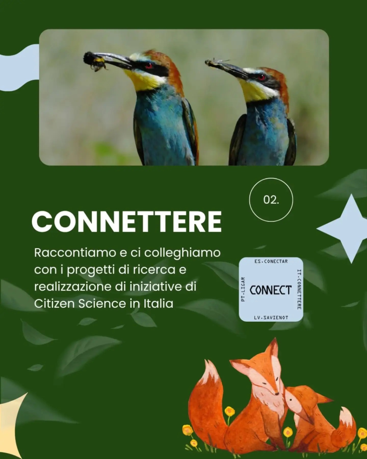 02. Connettere: raccontiamo e ci colleghiamo con i progetti di ricerca e realizzazione di iniziative di Citizen Science in Italia. Foto di due gruccioni con un insetto nel becco