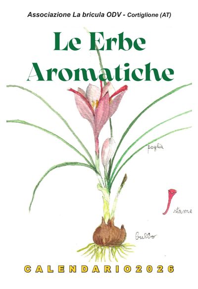 Copertina del calendario 2026: Le erbe aromatiche