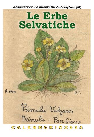 Copertina del calendario 2024: Le erbe selvatiche commestibili